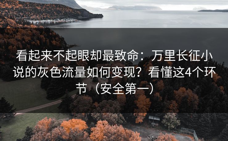 看起来不起眼却最致命：万里长征小说的灰色流量如何变现？看懂这4个环节（安全第一）