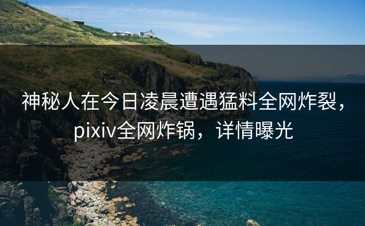 神秘人在今日凌晨遭遇猛料全网炸裂，pixiv全网炸锅，详情曝光