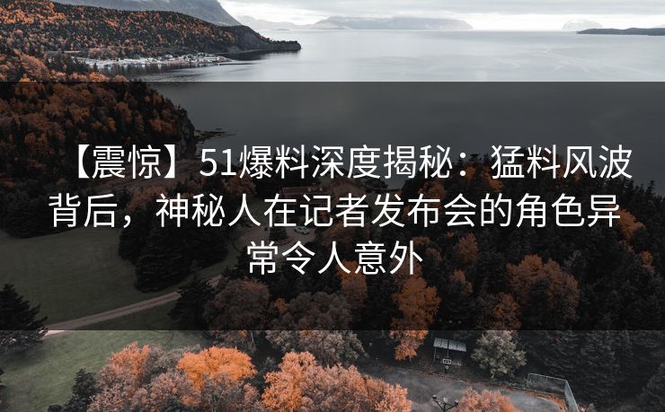 【震惊】51爆料深度揭秘:猛料风波背后,神秘人在记者发布会的角色异常令人意外 【震惊】51爆料深度揭秘:猛料风波背后,神秘人在记者发布会的角色异常令人意外