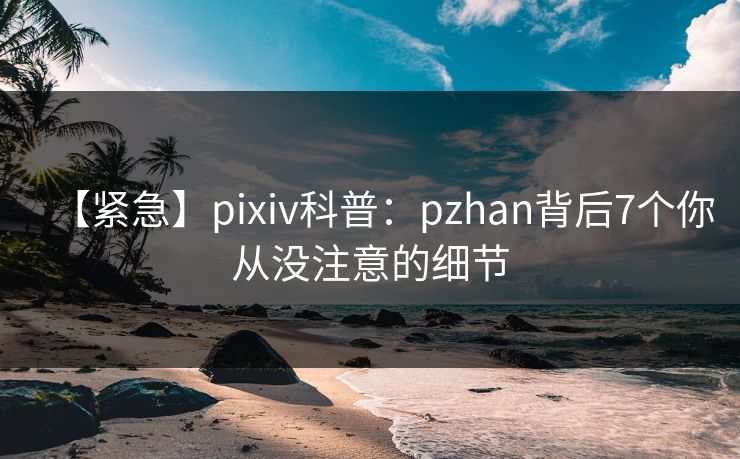 【紧急】pixiv科普：pzhan背后7个你从没注意的细节