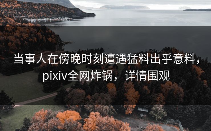 当事人在傍晚时刻遭遇猛料出乎意料，pixiv全网炸锅，详情围观