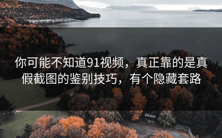 你可能不知道91视频，真正靠的是真假截图的鉴别技巧，有个隐藏套路